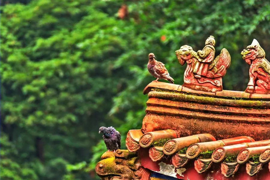 Puzhao Temple