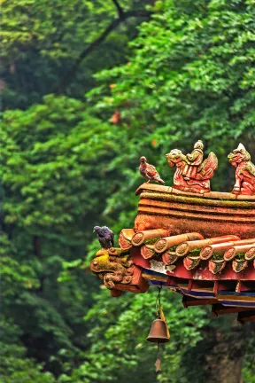 Inns Ở Đô Giang Yển