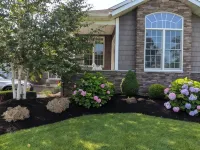 Clarence Inn Extended Stay Hotels in Harris Hill