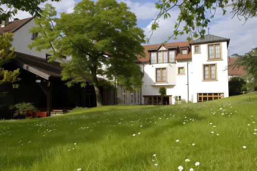 Auberge Saint Walfrid Hôtel Restaurant & Spa Hotels in Zetting