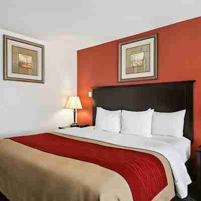 Quality Inn Kingsville Hwy 77 Rooms