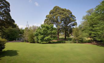 a large green field with trees in the background and a clear blue sky above at Berry Village Boutique Motel