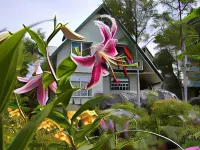 Pension Prince Edward Hotels in 