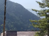 Karan Resort 帕尼托住宿飯店