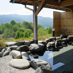 Tatsuno Park Hotel Hotel a Minowa