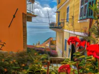 Le Notti Mediterranee