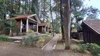 Econique Foresta Tretes