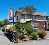Methven Motel & Apartments Отели в г. Метвен