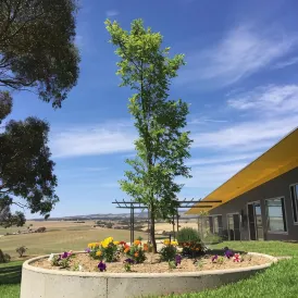 Barossa Pavilions & Glasshouse