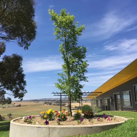 Barossa Pavilions & Glasshouse