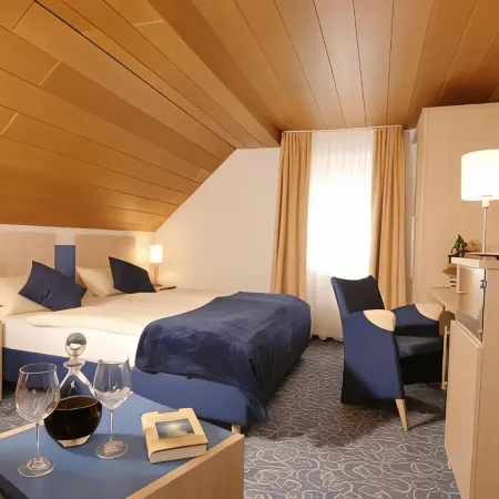 Adler Hotel Garni