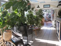 Hôtel du Petit Matelot Hotels in Plouharnel
