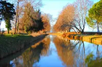 Single-storey house with garden in residential area