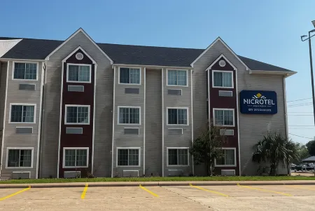 Microtel Inn & Suites by Wyndham Houston