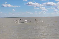 South Mobile Camp Hotel a Tutume