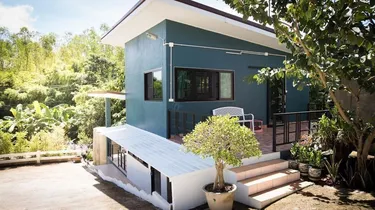 รูปภาพของต้นค้อแอทโฮม