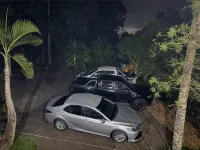 Atherton Blue Gum - parking