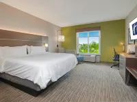 Holiday Inn Express & Suites ORLANDO - APOPKA by IHG Hotels in Apopka