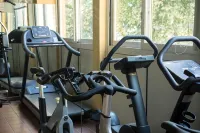 Hotel Dei Platani - Fitnessstudio