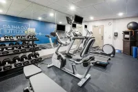 Holiday Inn Express & Suites LATHROP by IHG - spa