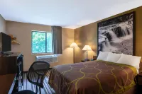Super 8 by Wyndham Elkins Hotels in Randolph County