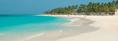 Condo   Penthouse - Amazing Views! Complete private rooftop