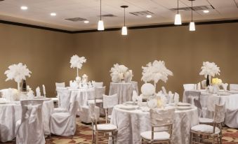 Hilton Garden Inn El Paso / University