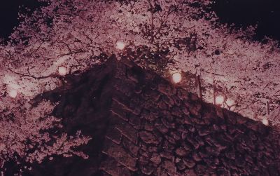 その他 津山鶴山ホテルの写真