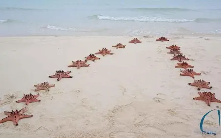 Rahat Icon Hotel Отели в г. Танджунгпандан