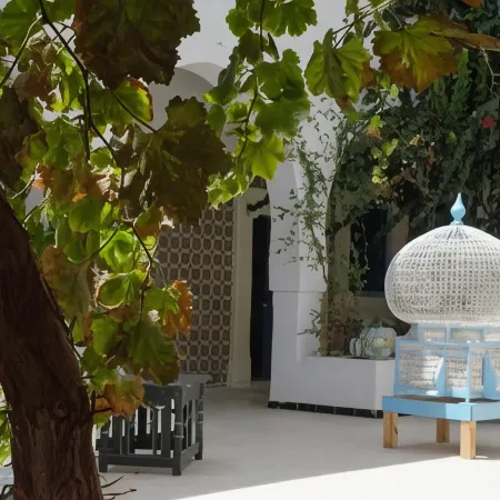 Hotel Djerba Erriadh
