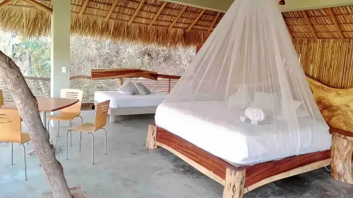 Devine virgin bay New tree house pvt/room palapa - Biệt thự