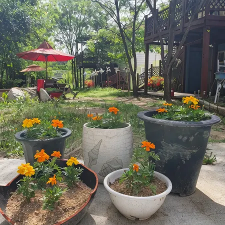 Yecheon Water Clear Mountain Pension
