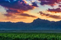 YingNong Wine Estate - วิวภูเขา