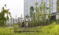 首爾植物園萬怡酒店 首爾酒店