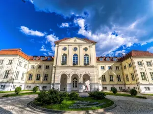 Hotel Pałac Alexandrinum
