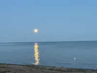 Waterfront 3 Bedroom cottage located in beautiful Turkey Point - Wifi