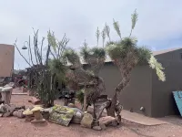 Charming bungalow with WiFi and AC in welcoming Van Horn