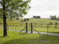 Luxury vineyard log cabin in the Yarra Valley Hotels in Warburton
