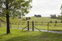 Luxury vineyard log cabin in the Yarra Valley - Wi-Fi