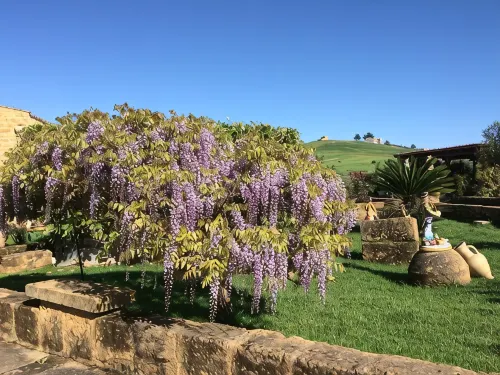 "The Garden of Athena" suite evocative view of the Valley of the Temples. - บังกะโล
