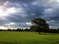 Fully Furnished Two Bedroom Farm House, "The Little House" Has Everything !
