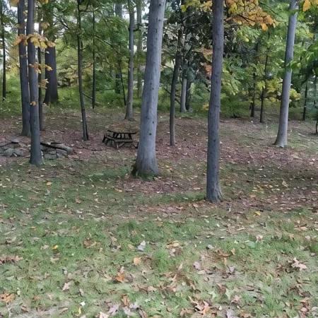 2Br Sleeps 8 Near Penn State, Stadium & Downtown with Hot Tub