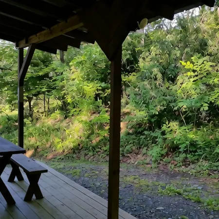 Affordable cabin near Raystown Lake, minutes from Seven Points & Allegrippas Tr