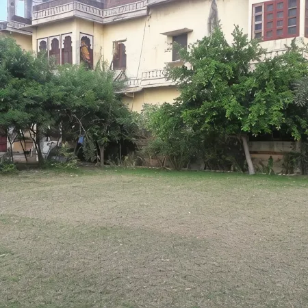 Bassi Fort Palace
