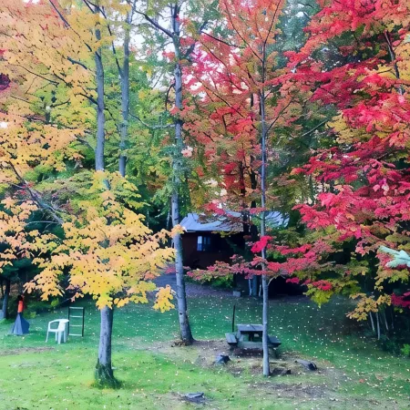 Lakefront Cabin on Lake Adirondack- Tax free