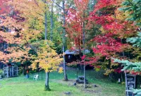 Lakefront Cabin on Lake Adirondack- Tax free