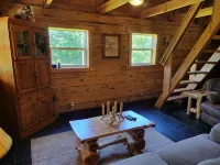 Cozy cabin retreat close to kayaking and hiking trails. Hotels in Ozark County