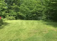 Cozy Cabin with an RV &Camper Hookup Pet Friendly Peaceful & Relaxing