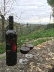 Chianti, nature, relax 2 steps from Florence - Wifi