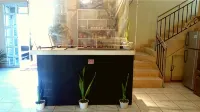 Jr Pension House - Quầy bar